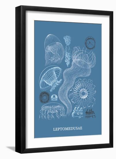 Jellyfish: Leptomedusae-Ernst Haeckel-Framed Art Print