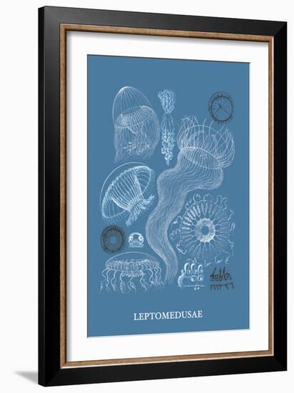 Jellyfish: Leptomedusae-Ernst Haeckel-Framed Art Print