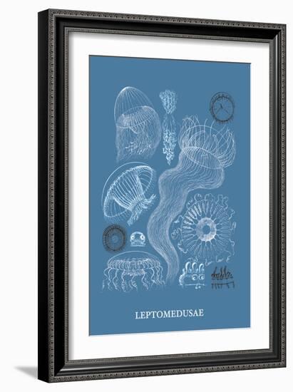 Jellyfish: Leptomedusae-Ernst Haeckel-Framed Art Print