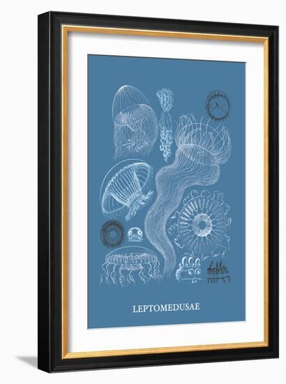 Jellyfish: Leptomedusae-Ernst Haeckel-Framed Art Print