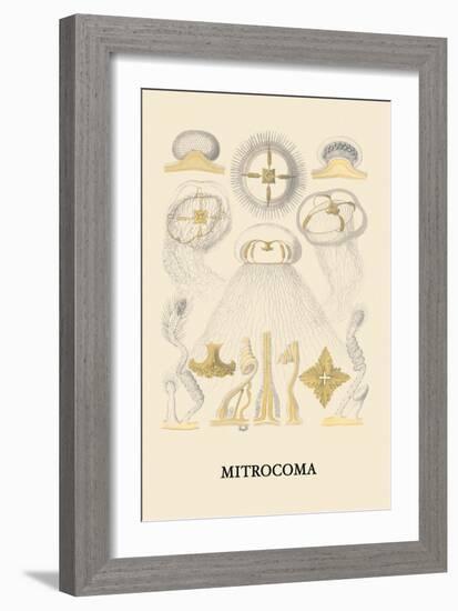 Jellyfish: Mitrocoma-Ernst Haeckel-Framed Premium Giclee Print
