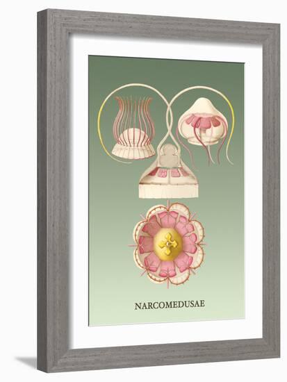 Jellyfish: Narcomedusae-Ernst Haeckel-Framed Art Print