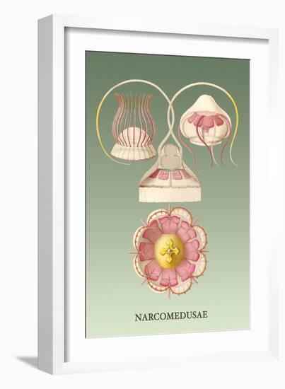 Jellyfish: Narcomedusae-Ernst Haeckel-Framed Art Print