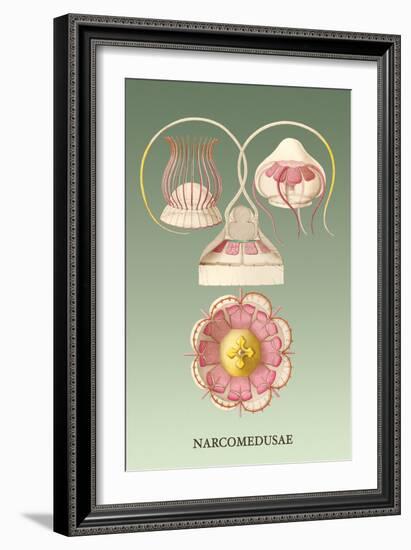 Jellyfish: Narcomedusae-Ernst Haeckel-Framed Art Print