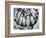 Jellyfish, Oregon, 1967-Brett Weston-Framed Photographic Print