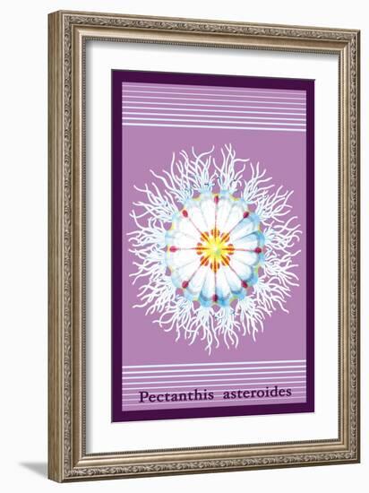 Jellyfish: Pectanthis Asteroides-Ernst Haeckel-Framed Art Print