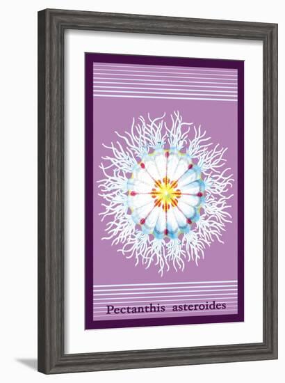 Jellyfish: Pectanthis Asteroides-Ernst Haeckel-Framed Art Print