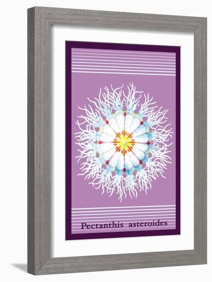 Jellyfish: Pectanthis Asteroides-Ernst Haeckel-Framed Art Print