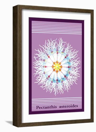 Jellyfish: Pectanthis Asteroides-Ernst Haeckel-Framed Art Print