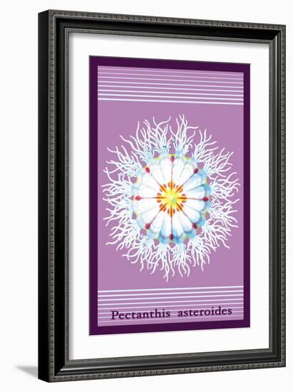 Jellyfish: Pectanthis Asteroides-Ernst Haeckel-Framed Art Print