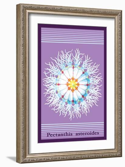 Jellyfish: Pectanthis Asteroides-Ernst Haeckel-Framed Art Print