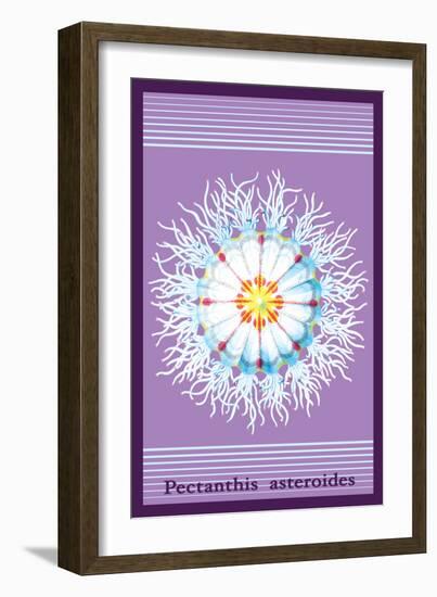 Jellyfish: Pectanthis Asteroides-Ernst Haeckel-Framed Art Print