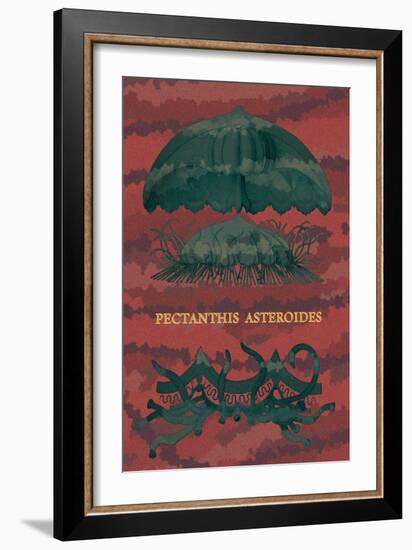 Jellyfish: Pectanthis Asteroides-Ernst Haeckel-Framed Art Print