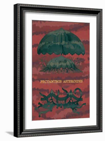 Jellyfish: Pectanthis Asteroides-Ernst Haeckel-Framed Art Print