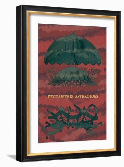 Jellyfish: Pectanthis Asteroides-Ernst Haeckel-Framed Art Print