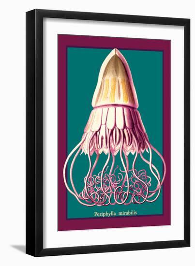 Jellyfish: Periphylla Mirabilis-Ernst Haeckel-Framed Art Print