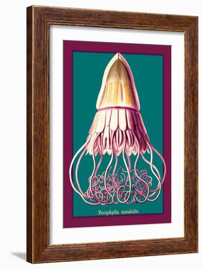 Jellyfish: Periphylla Mirabilis-Ernst Haeckel-Framed Art Print