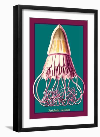 Jellyfish: Periphylla Mirabilis-Ernst Haeckel-Framed Art Print