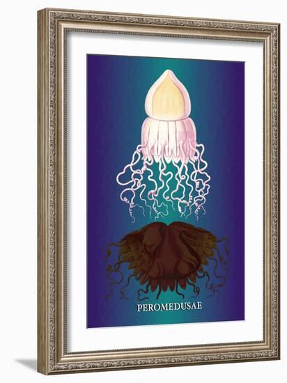 Jellyfish: Peromedusae-Ernst Haeckel-Framed Art Print