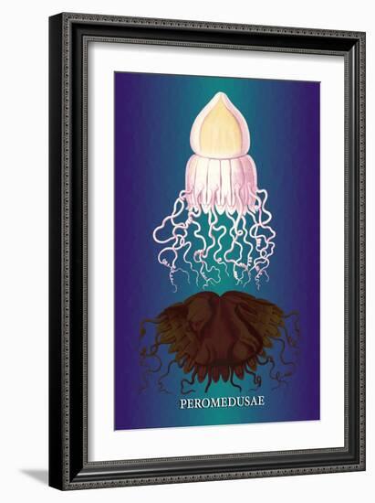 Jellyfish: Peromedusae-Ernst Haeckel-Framed Art Print