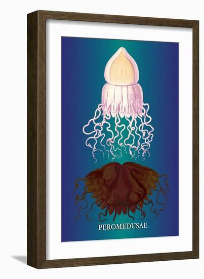 Jellyfish: Peromedusae-Ernst Haeckel-Framed Art Print