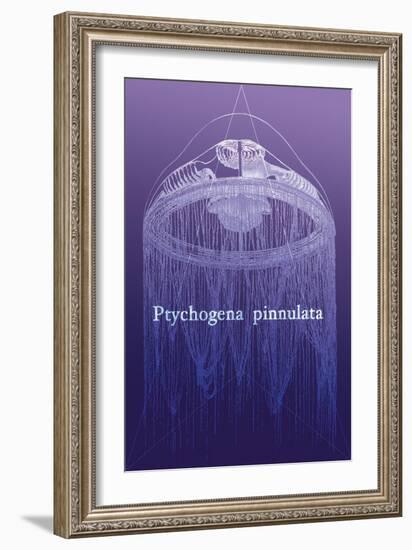 Jellyfish: Ptychogena Pinnulata-Ernst Haeckel-Framed Art Print