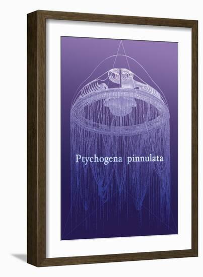 Jellyfish: Ptychogena Pinnulata-Ernst Haeckel-Framed Art Print