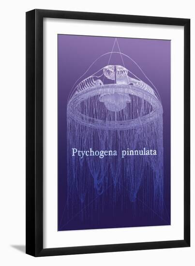 Jellyfish: Ptychogena Pinnulata-Ernst Haeckel-Framed Art Print