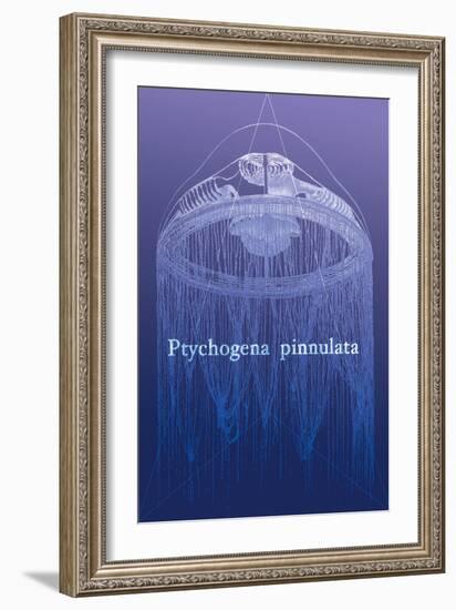 Jellyfish: Ptychogena Pinnulata-Ernst Haeckel-Framed Art Print