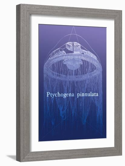 Jellyfish: Ptychogena Pinnulata-Ernst Haeckel-Framed Art Print