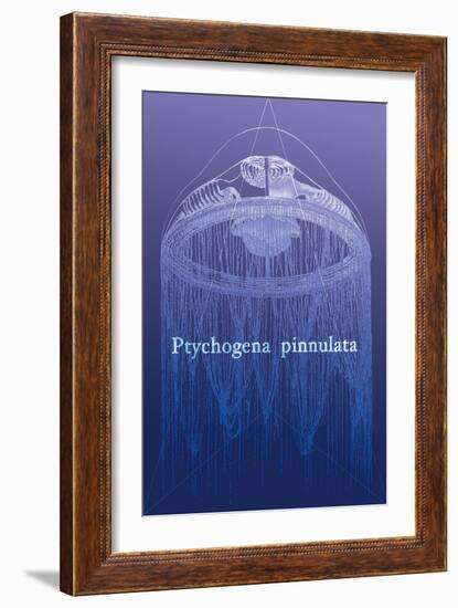 Jellyfish: Ptychogena Pinnulata-Ernst Haeckel-Framed Art Print