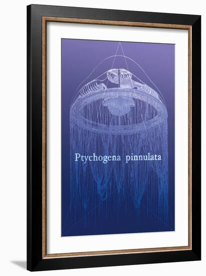 Jellyfish: Ptychogena Pinnulata-Ernst Haeckel-Framed Art Print