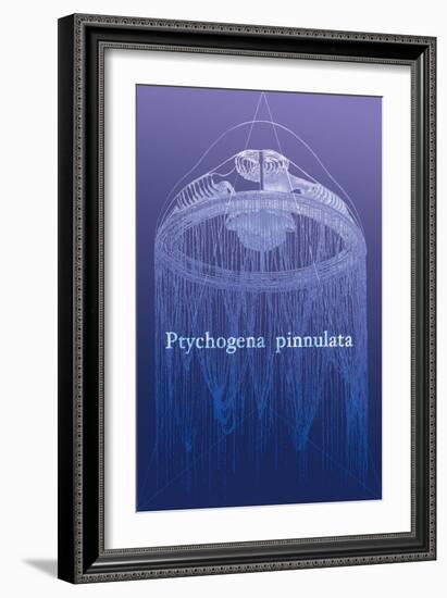 Jellyfish: Ptychogena Pinnulata-Ernst Haeckel-Framed Art Print