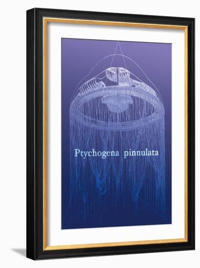 Jellyfish: Ptychogena Pinnulata-Ernst Haeckel-Framed Art Print