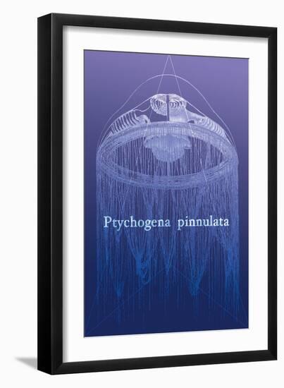 Jellyfish: Ptychogena Pinnulata-Ernst Haeckel-Framed Premium Giclee Print