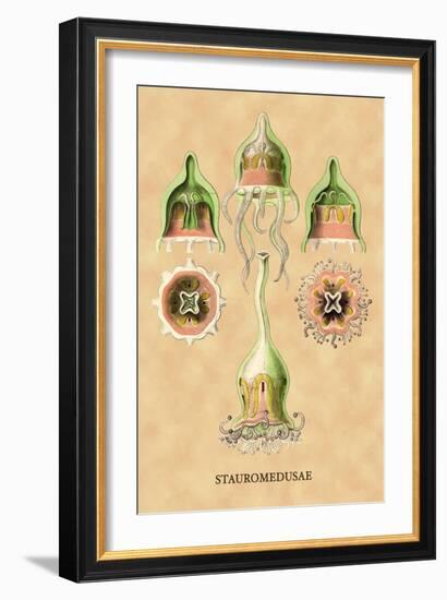 Jellyfish: Stauromedusae-Ernst Haeckel-Framed Art Print