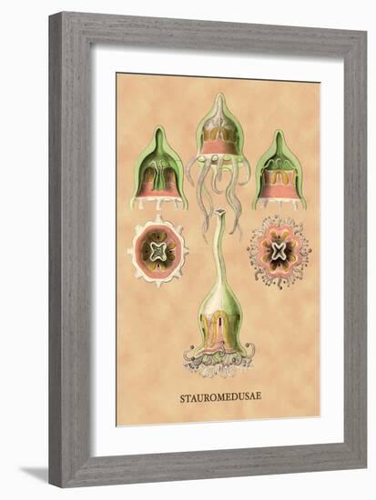 Jellyfish: Stauromedusae-Ernst Haeckel-Framed Art Print