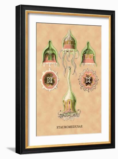 Jellyfish: Stauromedusae-Ernst Haeckel-Framed Art Print