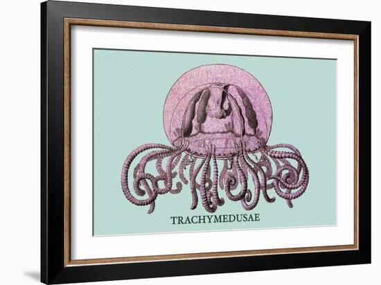 Jellyfish: Trachymedusae-Ernst Haeckel-Framed Art Print