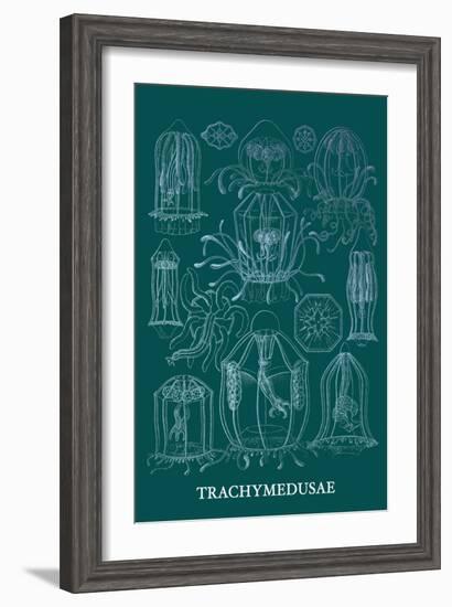 Jellyfish: Trachymedusae-Ernst Haeckel-Framed Art Print