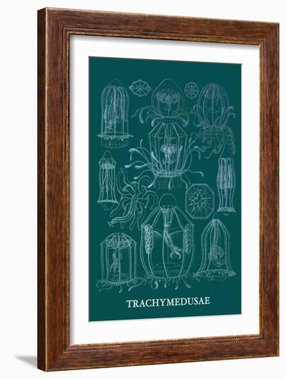 Jellyfish: Trachymedusae-Ernst Haeckel-Framed Art Print