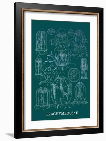 Jellyfish: Trachymedusae-Ernst Haeckel-Framed Art Print