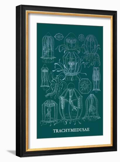 Jellyfish: Trachymedusae-Ernst Haeckel-Framed Art Print