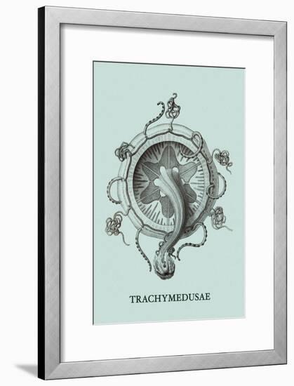 Jellyfish: Trachymedusae-Ernst Haeckel-Framed Art Print