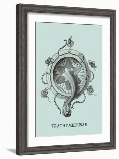 Jellyfish: Trachymedusae-Ernst Haeckel-Framed Art Print