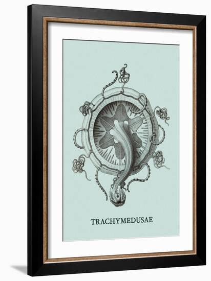 Jellyfish: Trachymedusae-Ernst Haeckel-Framed Art Print