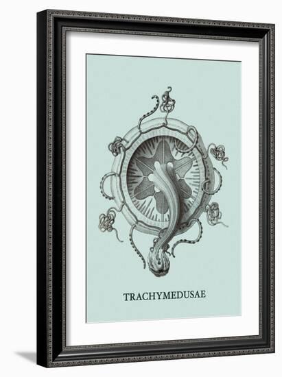 Jellyfish: Trachymedusae-Ernst Haeckel-Framed Art Print