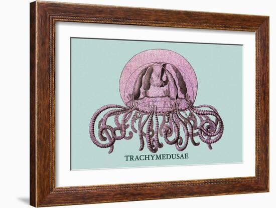 Jellyfish: Trachymedusae-Ernst Haeckel-Framed Art Print