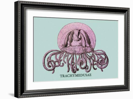 Jellyfish: Trachymedusae-Ernst Haeckel-Framed Art Print