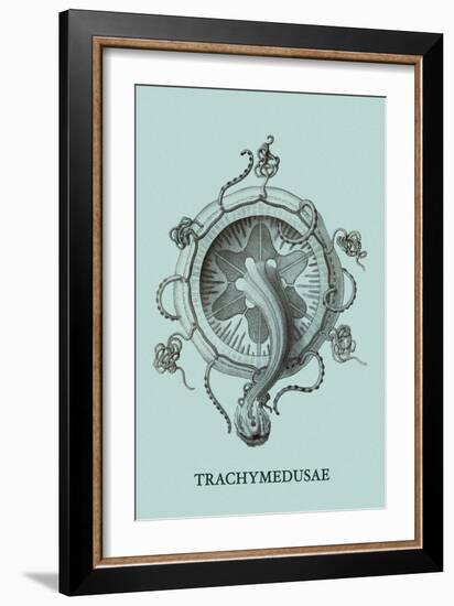 Jellyfish: Trachymedusae-Ernst Haeckel-Framed Art Print